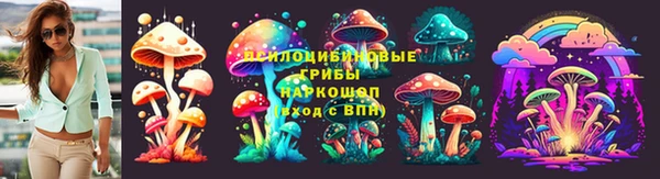 марки lsd Гусь-Хрустальный