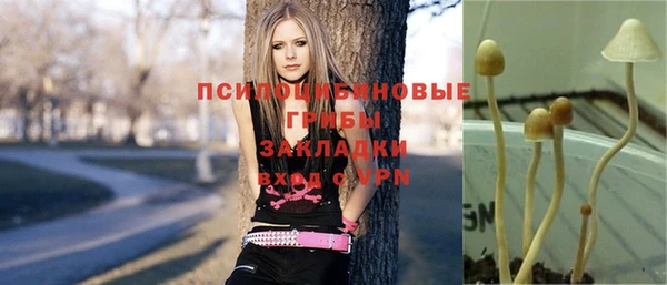меф Няндома