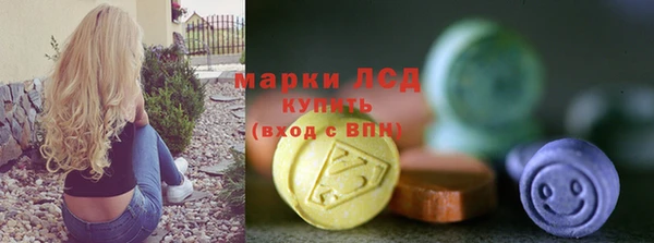 прущий лед Новозыбков