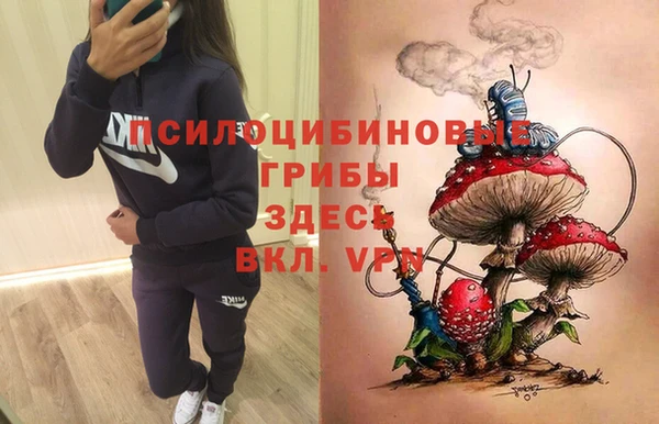 mix Новодвинск