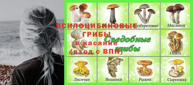 Галлюциногенные грибы мухоморы  Лысьва 