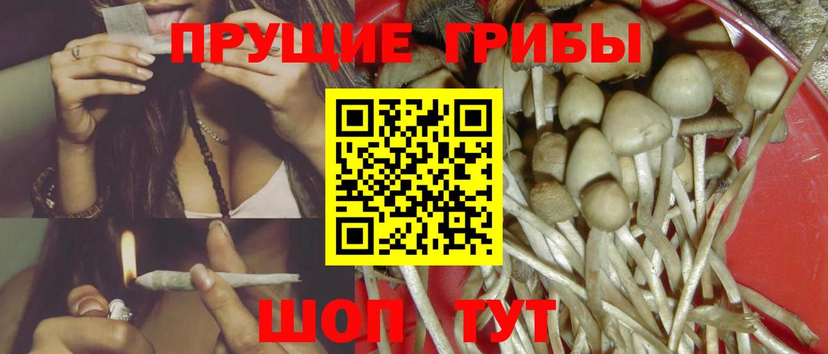 Псилоцибиновые грибы GOLDEN TEACHER Лысьва